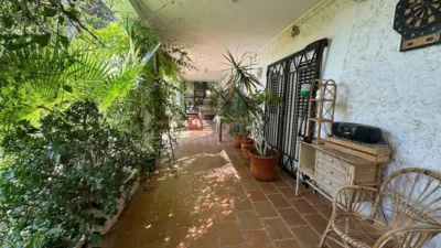 Chalet on Carrer de las Palmeras photo 32