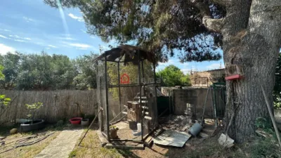 Chalet on Carrer de las Palmeras photo 36