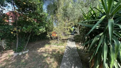 Chalet on Carrer de las Palmeras photo 38