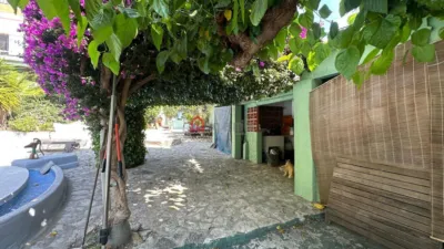 Chalet on Carrer de las Palmeras photo 40