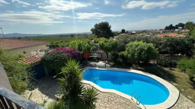 Chalet on Carrer de las Palmeras photo 46