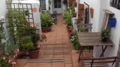 Apartamento en Casco Antiguo photo 3