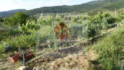 Rustic Finca in Chodos - Xodos photo 71
