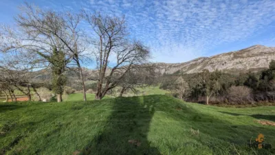 Rustic farm on Calle Mata, No. 18 photo 23