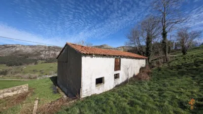Rustic farm on Calle Mata, No. 18 photo 25