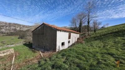 Rustic farm on Calle Mata, No. 18 photo 3