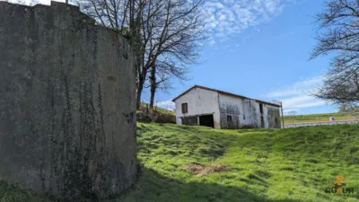Rustic farm on Calle Mata, No. 18 photo 7
