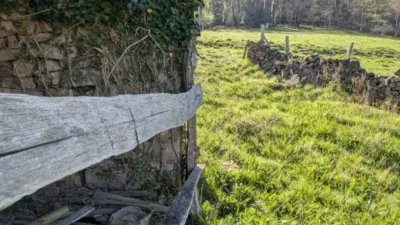 Rustic farm on Calle Vegalosvados, No. 12 photo 27