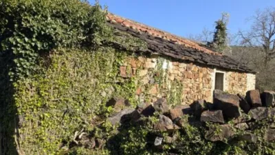 Rustic farm on Calle Vegalosvados, No. 12 photo 28