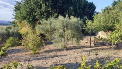 Rustic Finca in the Surroundings photo 14