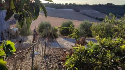 Rustic Finca in the Surroundings photo 15