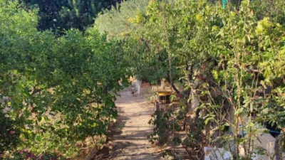 Rustic Finca in the Surroundings photo 17