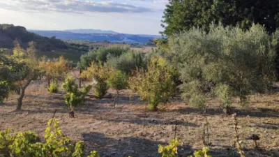 Rustic Finca in the Surroundings photo 19