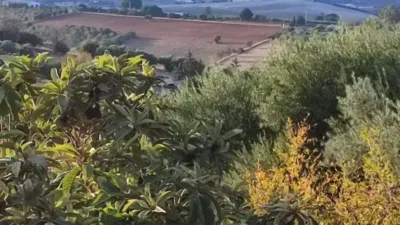 Rustic Finca in the Surroundings photo 3