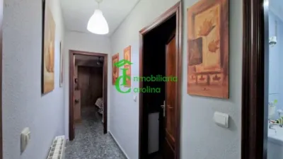 Apartment in La Carolina photo 20