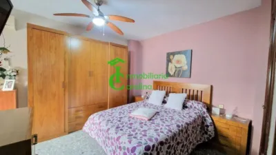 Apartment in La Carolina photo 24