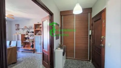 Apartment in La Carolina photo 3