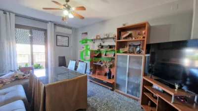 Apartment in La Carolina photo 5