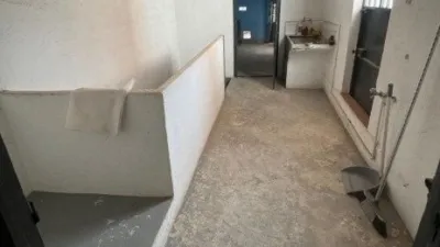 House in Torredonjimeno photo 12