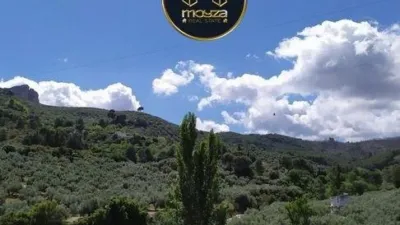 Chalet en Villares (Los) photo 7