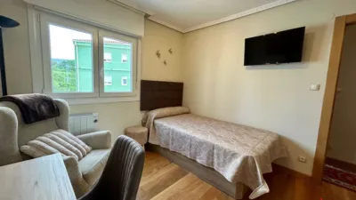 Apartment in Colindres photo 19
