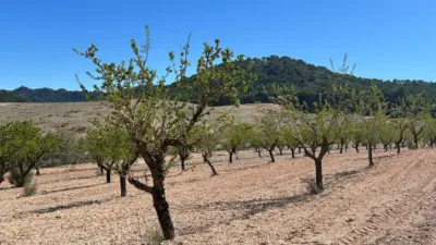 Casa – Tobarra, Albacete - Vista 5