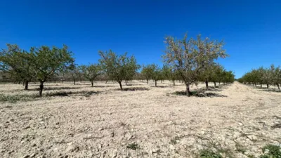 Casa – Tobarra, Albacete - Vista 3