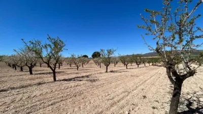 Casa – Tobarra, Albacete - Més