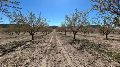 Casa – Tobarra, Albacete - Vista 2