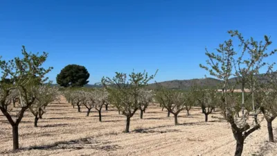 Casa – Tobarra, Albacete - Vista 4