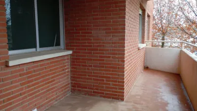 Miniatura 12