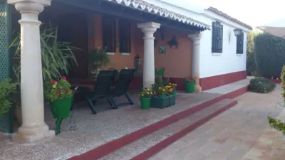 Miniatura 9
