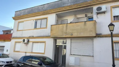 Apartment in Bornos photo 22