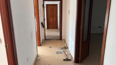 Apartment in Bornos photo 13