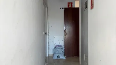 Apartment in Bornos photo 20