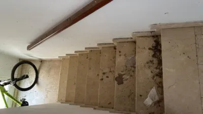 Apartment in Bornos photo 19