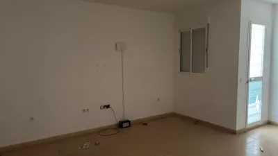 Apartment in Bornos photo 14