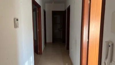 Apartment in Bornos photo 3