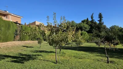Chalet on Avinguda de Catalunya photo 16