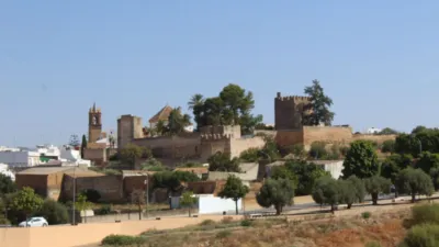 House in Mairena del Alcor photo 23