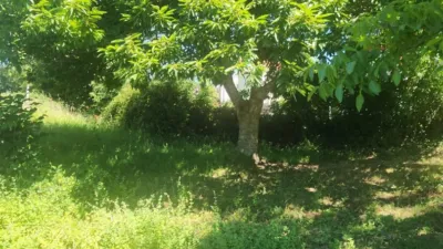 House in Pedroso photo 29