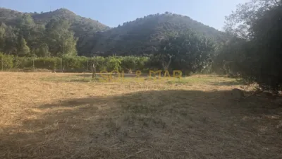 Finca rústica en Pizarra Campo photo 21