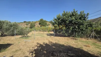 Rustic finca in Pizarra Campo photo 3