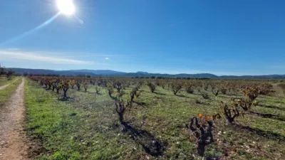 House at Mas Blanch Street, No. 14 photo 24