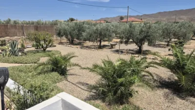 Rustic Finca in Tabernas photo 15