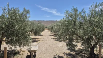 Rustic Finca in Tabernas photo 12