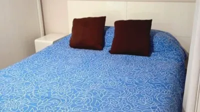 Apartment in Miguel Martínez photo 4