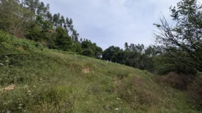  photo 36