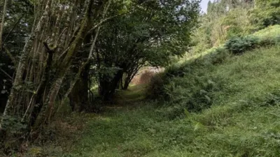  photo 42