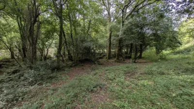  photo 41